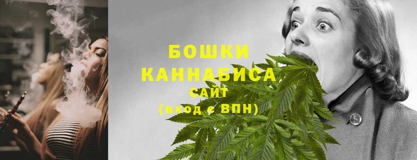прущие крисы Каменка