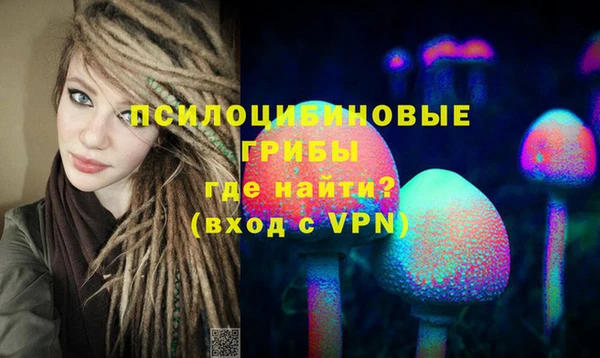 индика Армянск